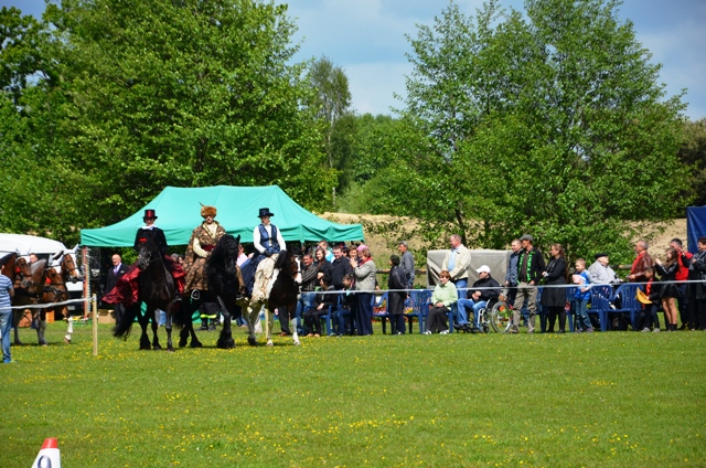 VIII Regionalne Zawody w Powożeniu Zaprzęgami Konnymi