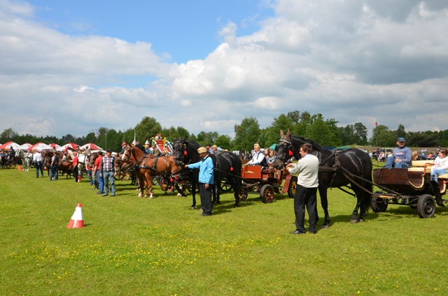 VIII Regionalne Zawody w Powożeniu Zaprzęgami Konnymi