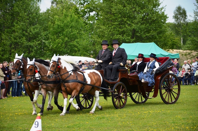 VIII Regionalne Zawody w Powożeniu Zaprzęgami Konnymi