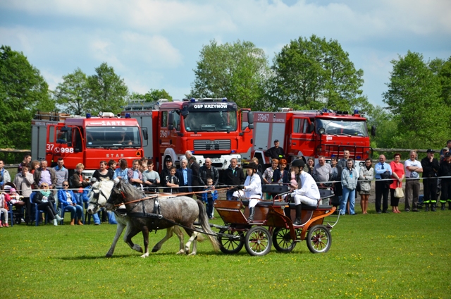 VIII Regionalne Zawody w Powożeniu Zaprzęgami Konnymi
