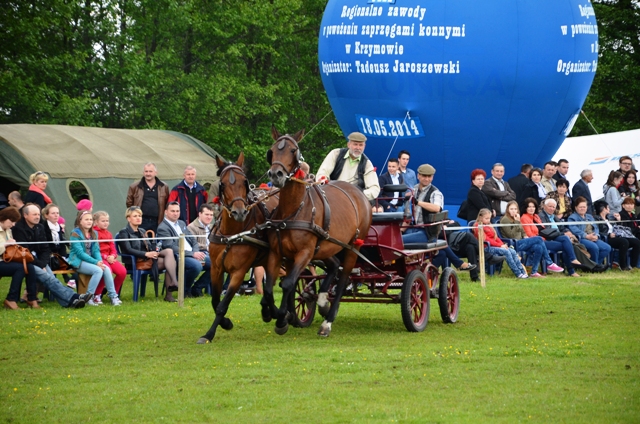 VIII Regionalne Zawody w Powożeniu Zaprzęgami Konnymi