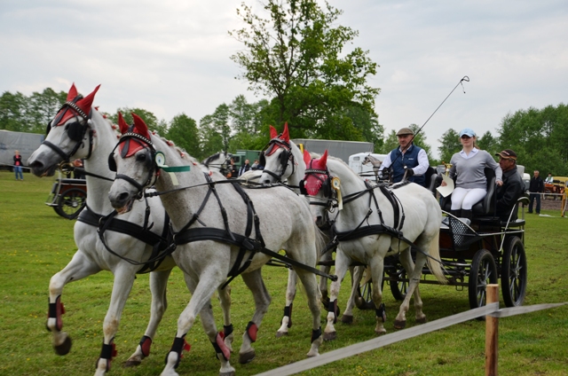 VIII Regionalne Zawody w Powożeniu Zaprzęgami Konnymi