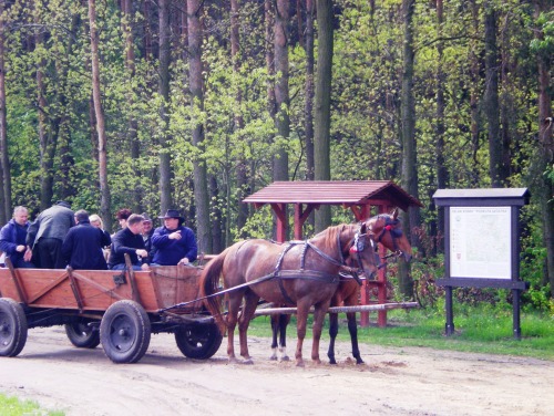 Konno w powiecie konińskim