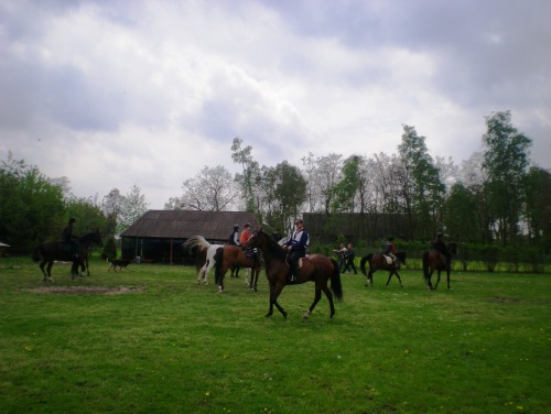 Konno w powiecie konińskim