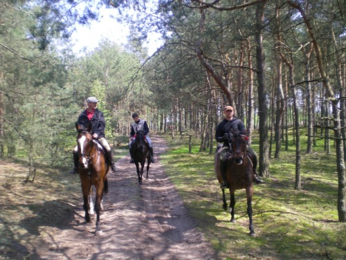 Konno w powiecie konińskim