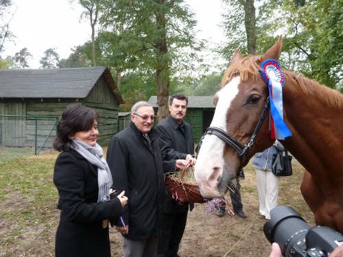 Mamy już swojego Frycka !!!