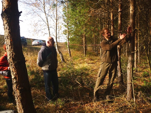 Jak właściwie pielęgnować lasy