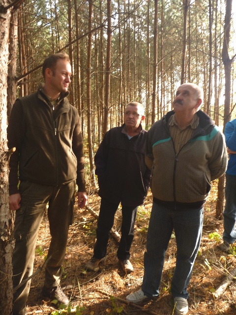 Jak właściwie pielęgnować lasy