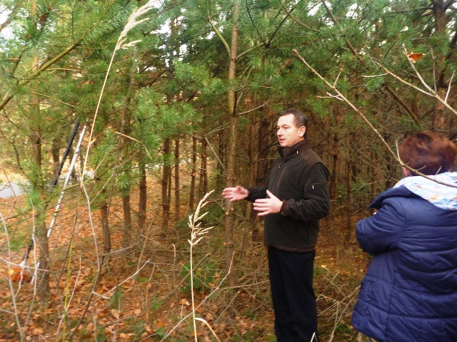 O sposobach pielęgnacji lasów w gm. Ślesin