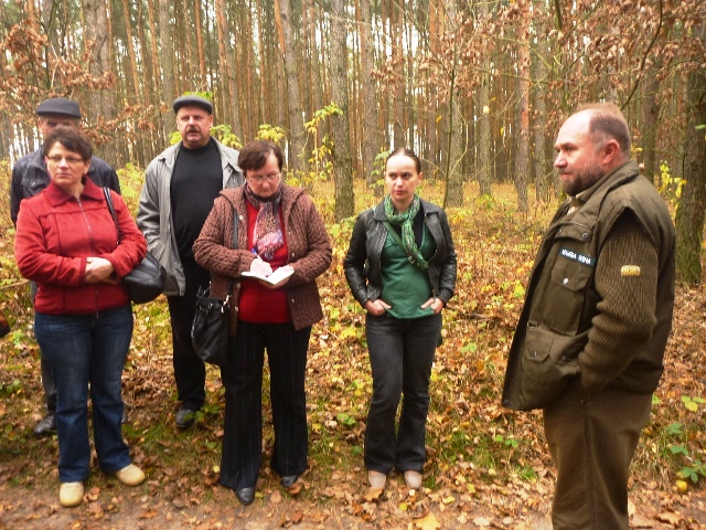 Jak właściwie pielęgnować lasy