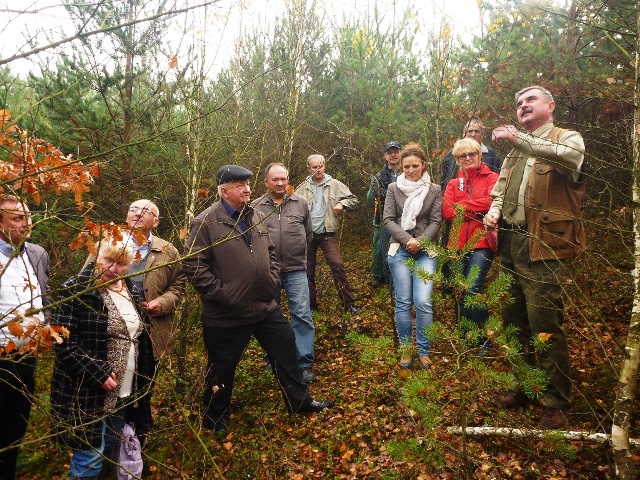 Jak właściwie pielęgnować lasy