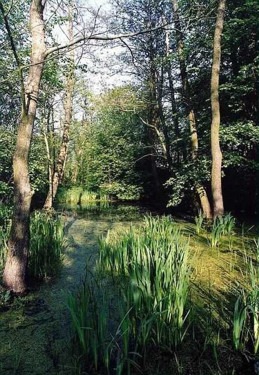 Nadwarciański Park Krajobrazowy