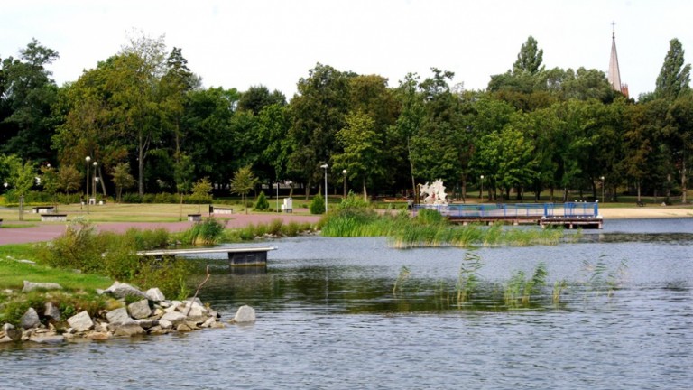 Park miejski w Ślesinie