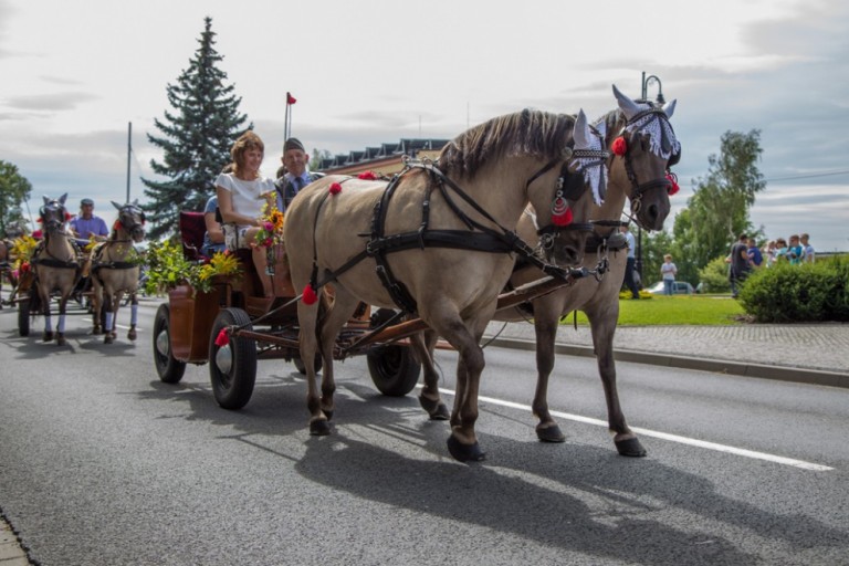 Dożynki Wierzbinek 2019