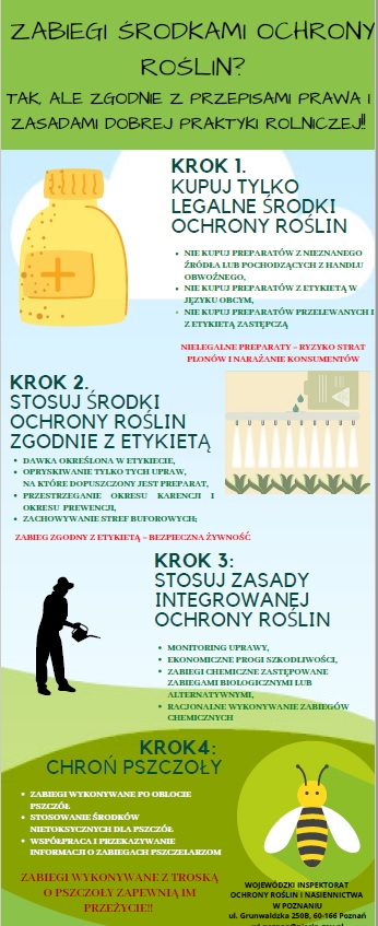 Chrońmy pszczoły - infografika