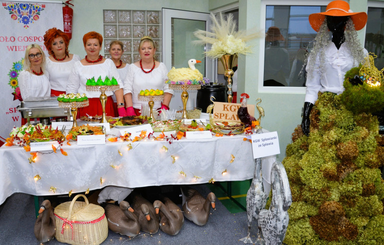 Kaczka w roli głównej