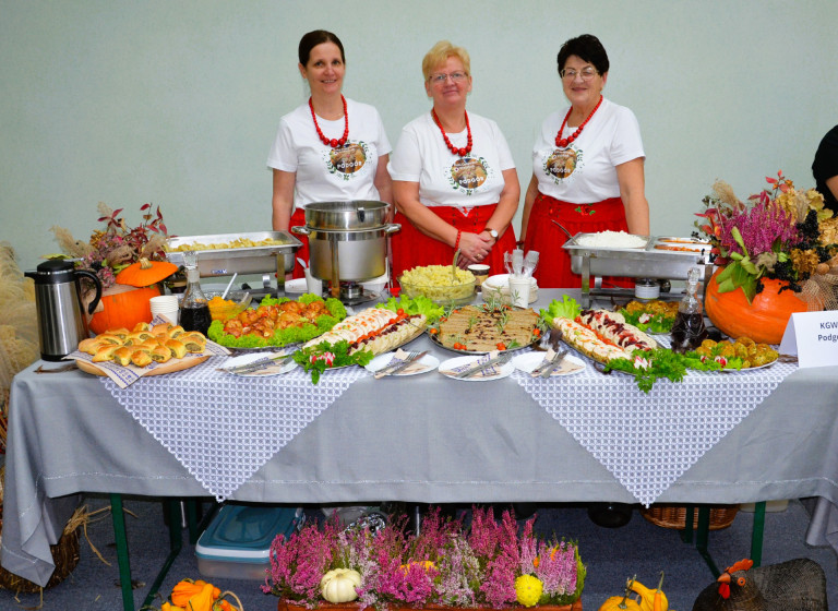 Kaczka w roli głównej