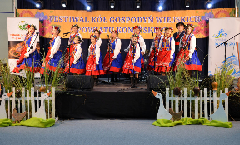 Kaczka w roli głównej