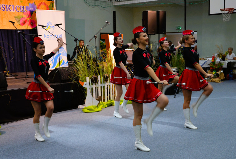 Kaczka w roli głównej