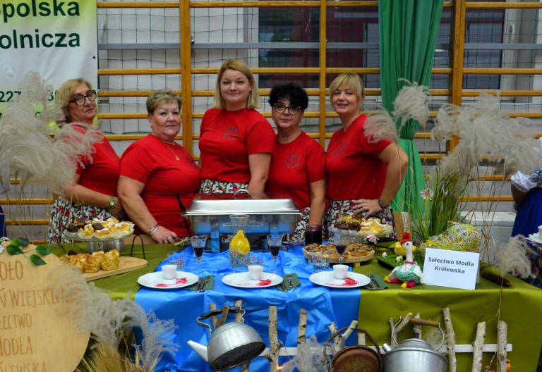 Kaczka w roli głównej