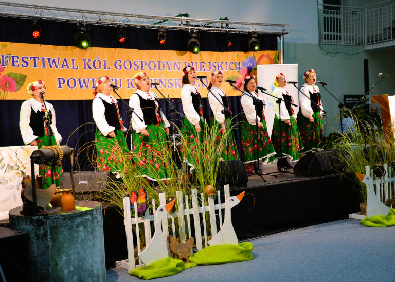 Kaczka w roli głównej