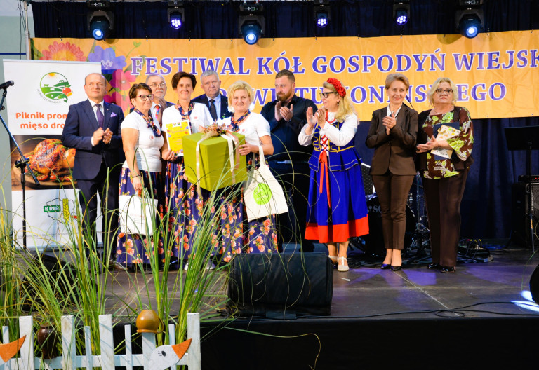 Kaczka w roli głównej