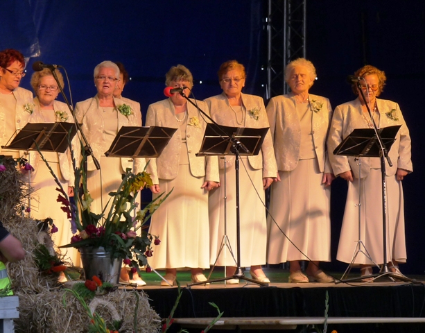 Dożynki Diecezjalno-Powiatowo-Gminne w Lubstówku