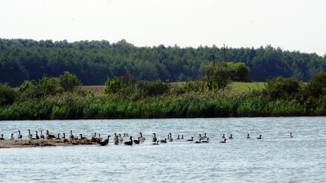 "Zielony" wrzesień w powiecie konińskim