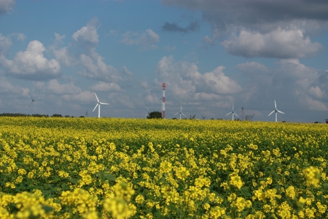 O odnawialnych źródłach energii w Starostwie.