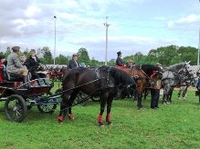 Niezwykle widowiskowe VI Regionalne Zawody w Powożeniu Zaprzęgami Konnymi