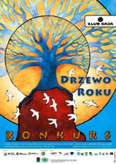 Dąb Kameduła otrzymał 1438 głosów