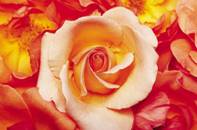 Życzenia dla nauczycieli