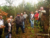 Jak właściwie pielęgnować lasy