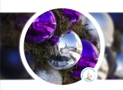 naLOT naGR&Oacute;D &ndash; ostatnie starcie