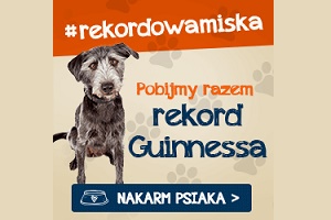 Rekordowa miska dla konińskiego schroniska