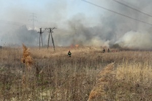 Nie wypalaj traw