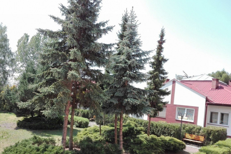 Dzień Rodziny w DPS w Ślesinie