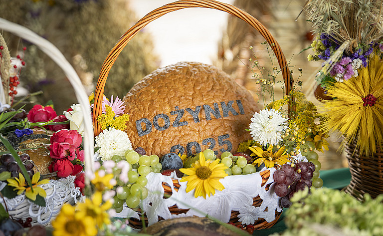 Dożynki Powiatowo-Gminno-Parafialne w Rzgowie – święto plonów i wdzięczności rolnikom